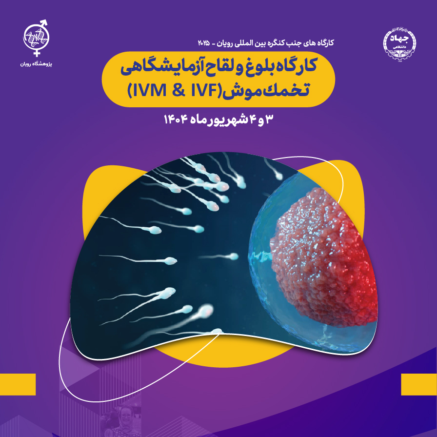 نام دوره